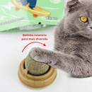 Bola Giratória para Catnip