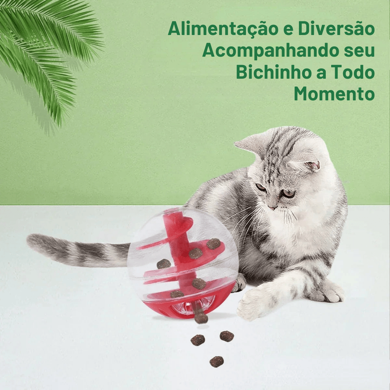Bola com Petiscos Interativa