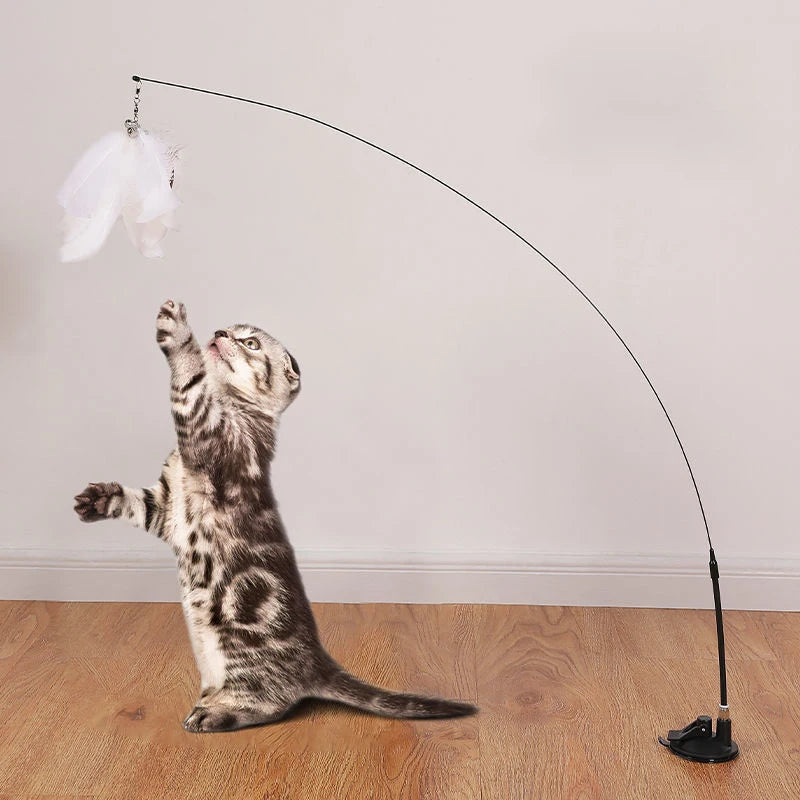 Vara Interativa para Gatos