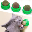 Bola Giratória para Catnip