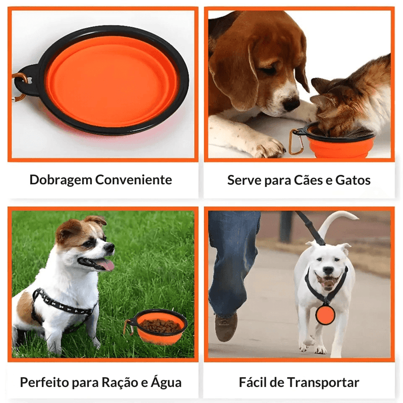 Tigela Dobrável para Pets